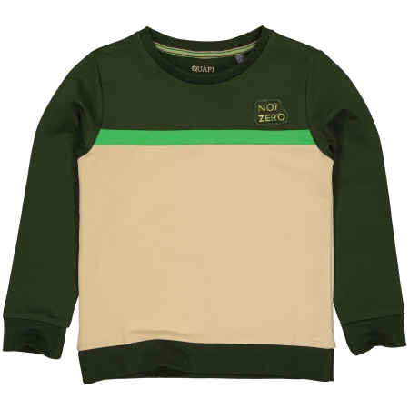 Quapi sweater Ramin green wood