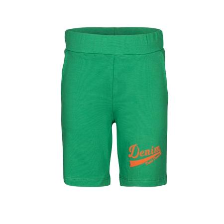 Dutch Dream Denim broek Sanafu green