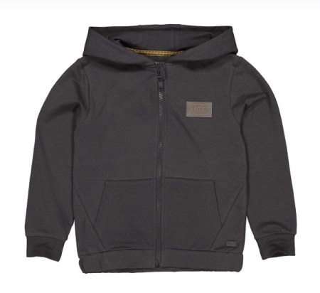 Quapi hoodie Thieu grey