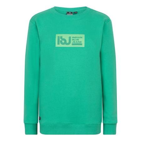 Indian Blue Jeans sweater spring green (IBBS24-4504)